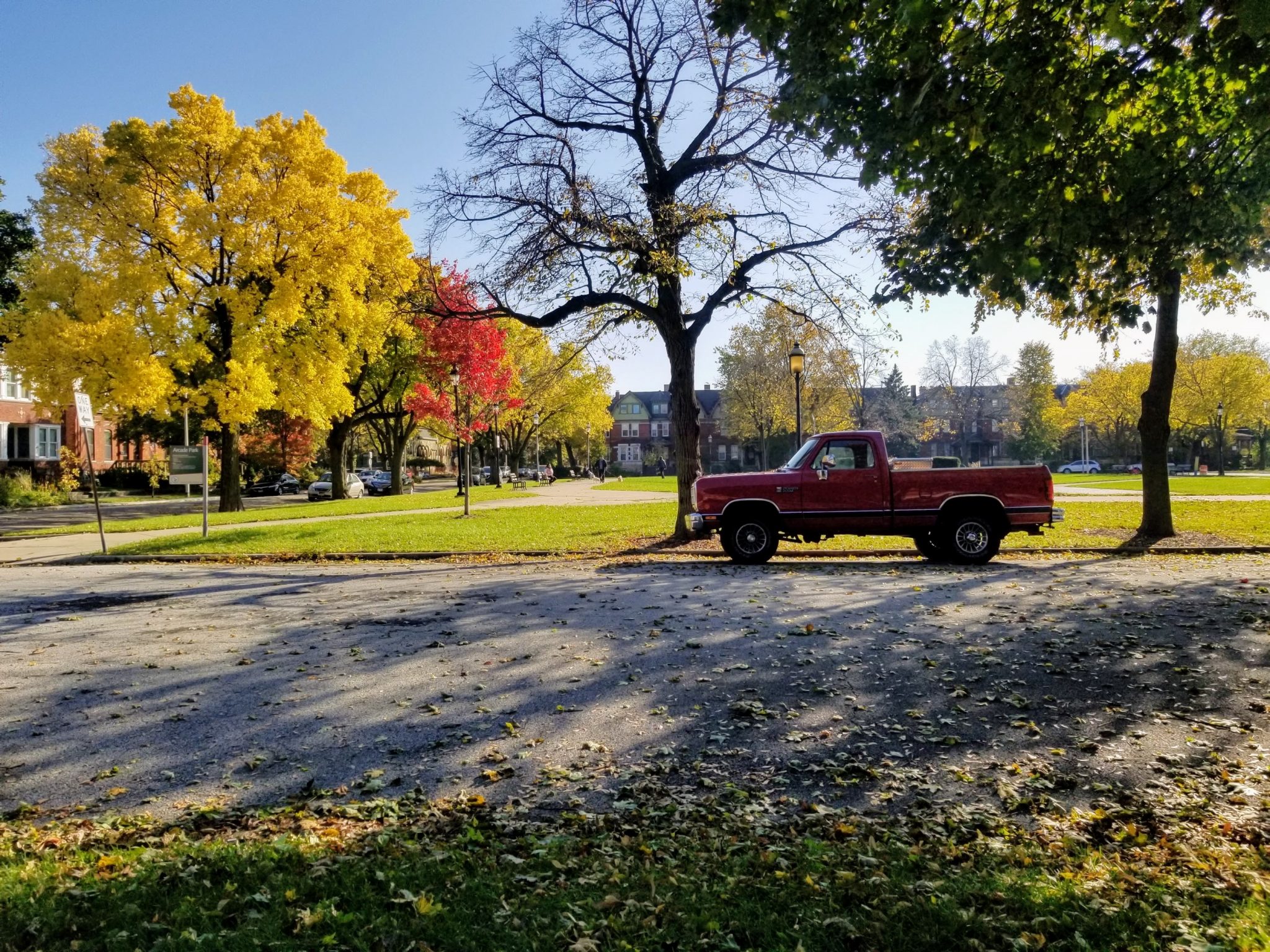 Trees in the fall and a red truck in Chicago